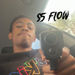 Tinyskleep -S5 flow