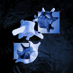 MRMR004 | Assimilated - Totem Collapse EP