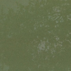 Sycamore (Brazilian Funk)