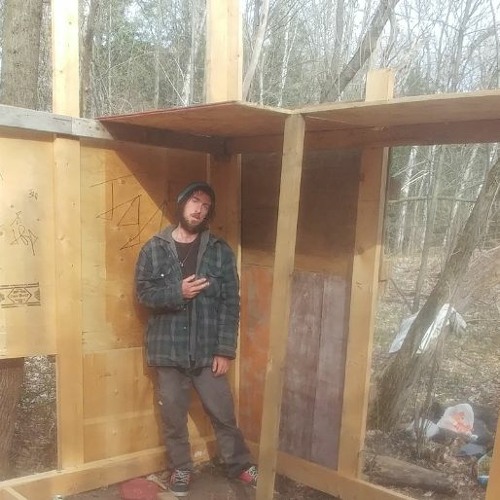 Stream Cabin In The Woods By Dank Franklin Listen Online For Free On Soundcloud