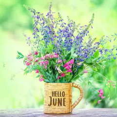June