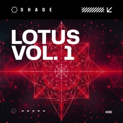 Can't Stay Constant (Original Mix)
