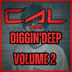 Diggin' Deep vol.2