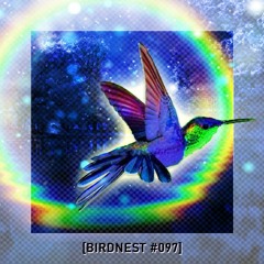 BIRDNEST #097 | A Bird In the Mirror | Podcast by The Lahar