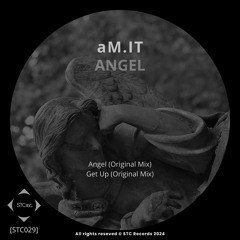 aM.IT - Angel
