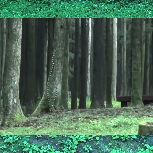 Forest of April