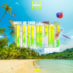 DJ ZERFLY - Wake Up Your Tropic Mood Vol.4 - Summer Chill