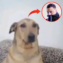 Bicho Solto - DJ Ramonstro, Mc Luizinho