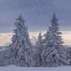 Sylvian joululaulu / Sylvias julvisa