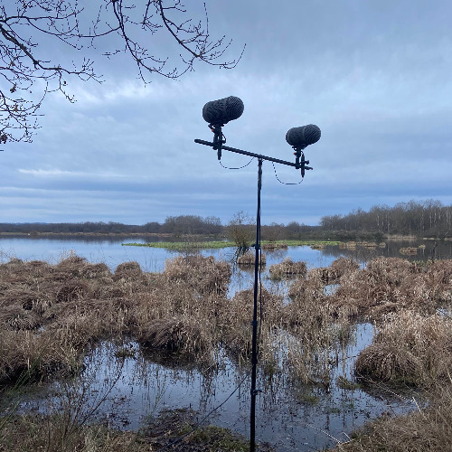One hour at dawn at the Etang des Landes (Creuse, France)