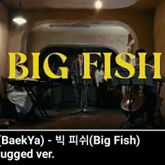 백야(BaekYa) - 빅 피쉬(Big Fish) Unplugged ver.