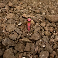 Smoke I Blow (prod. 999ines)