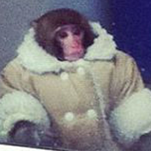 this WILL be on the test