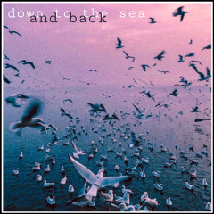 Down to the sea_and back