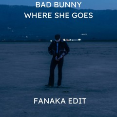Bad Bunny - Where She Goes  (Fanaka Edit)