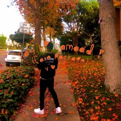 Never Cared Freestyle