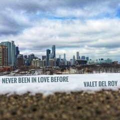 Never Been In Love Before