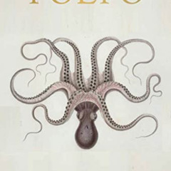 VIEW EPUB 💚 POLPO: A Venetian Cookbook (Of Sorts) by  Russell Norman KINDLE PDF EBOO