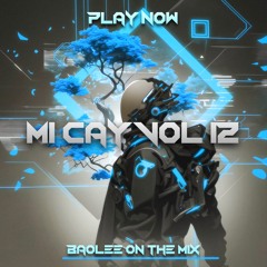 MÌ CAY - VOL 12 / BAOLEE MIX | Đổi Tình Đổi Áo, Em Thua Cô Ta, Ai Thương Ai Nhất Sẽ Đau.