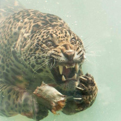 Beast with Two Backs