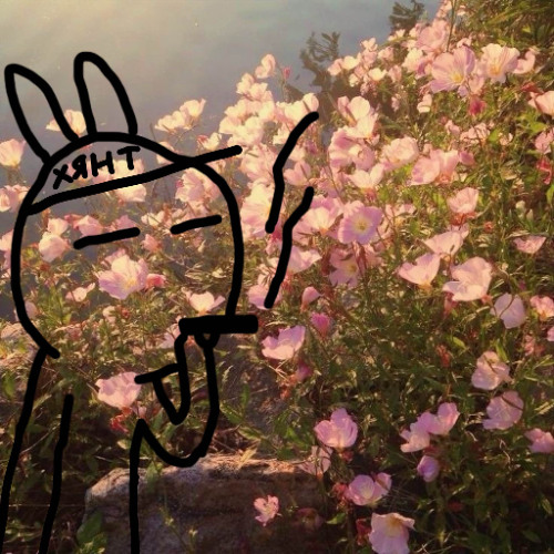 speak (jade blades, vånda)