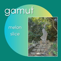 melon slice (demo)