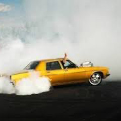 where the chicks - Fat Pizza