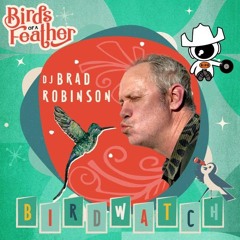 Brad Robinson Birds Of A Feather '24 Poolside Vinyl Set