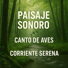 Paisaje Sonoro, Aves del Bosque y Agua Fluyendo