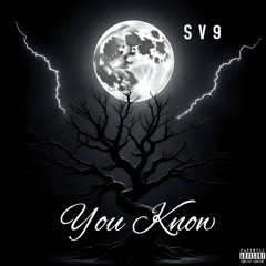 SV9 - You Know (Official Audio)