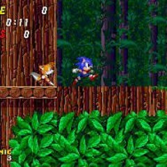 Wood Zone, Metropolis Zone sonic 2 prototype