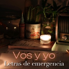 Vos y yo