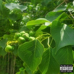 Indica ft J ROOF