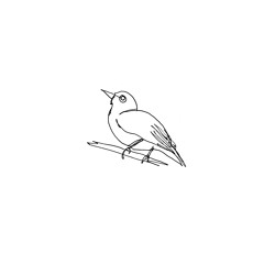 tribute to the birds