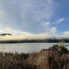 Light Codes 12/10/20