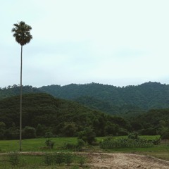 หลบหนี[demo]