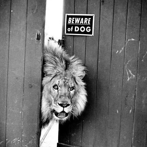 liquid FM DJ Savage - The tribe of Judah