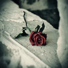 “ukanKejiw” cover Jaśmine ft. Nylras