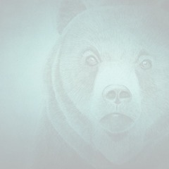 Bear Essentials