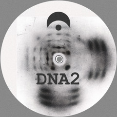 DNA2