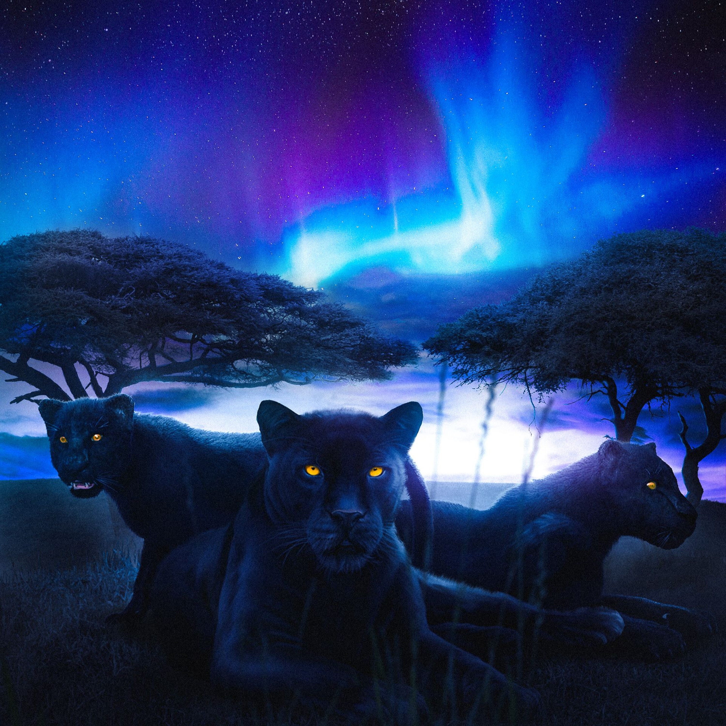 Jungle Run episode artwork