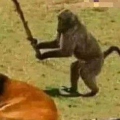 Sprit core wesifozen mix