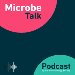 Dr Beth Mills and Akpan Friday on international collaboration and mentorship