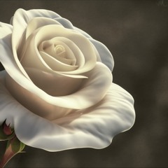 White Flower __ Babicz