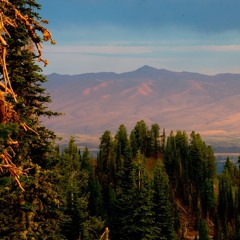 INTRO: The MIMOS horn quartet, pantomime & dance project...