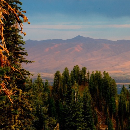 INTRO: The MIMOS horn quartet, pantomime & dance project...