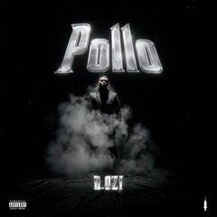 Pollo