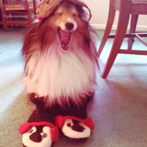 work department (xaviersobased cranes)