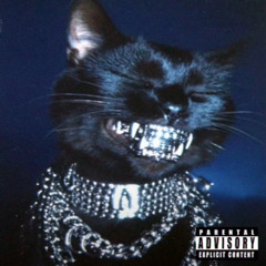 Bộw Dộwn ! (prod. PANCHOS THE PLUG)