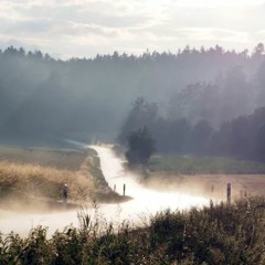 Bdw422 background apps FREE DOWNLOAD